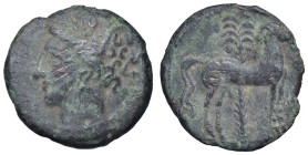 GRECHE - SICILIA - Siculo-Puniche - AE 16 Mont. 5543; S. Cop. 1002 (AE g. 2,24) Ex asta Montenegro 23 lotto 744 (parte del lotto)

Status: qBB/BB
...
