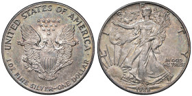 ESTERE - U.S.A. - Dollaro 1988 - American Eagle Kr. 273 AG Patinata

Status: FDC

Notes: Patinata