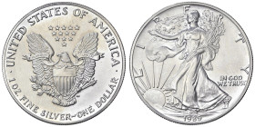 ESTERE - U.S.A. - Dollaro 1989 - American Eagle Kr. 273 AG

Status: FDC

Notes: