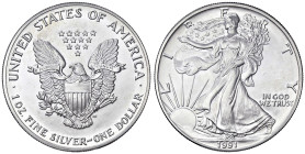 ESTERE - U.S.A. - Dollaro 1991 - American Eagle Kr. 273 AG

Status: FDC

Notes: