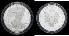 ESTERE - U.S.A. - Dollaro 1996 P - American Eagle Kr. 273 AG In confezione

Status: FS

Notes: In confezione -