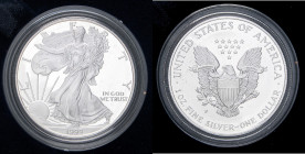 ESTERE - U.S.A. - Dollaro 1999 P - American Eagle Kr. 273 AG In confezione

Status: FS

Notes: In confezione -