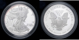 ESTERE - U.S.A. - Dollaro 2003 W - American Eagle Kr. 273 AG In confezione

Status: FS

Notes: In confezione -