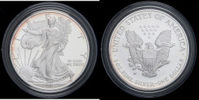 ESTERE - U.S.A. - Dollaro 2004 W - American Eagle Kr. 273 AG In confezione

Status: FS

Notes: In confezione -