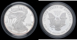 ESTERE - U.S.A. - Dollaro 2005 W - American Eagle Kr. 273 AG In confezione

Status: FS

Notes: In confezione -