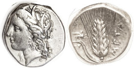 METAPONTUM, Stater, 330-300 BC, Persephone head l./Wheat ear, griffin atop leaf at l.eft; Choice VF, obv a touch off-ctr but head complete, excellent ...