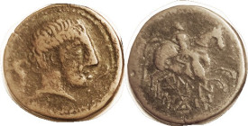 SPAIN, Belaiscon, Æ26, Male head r, betw dolphins/ horseman r, 2-line lgnd; F+, medium brown, decent & clear; seems quite RARE, I could find no record...