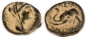 SYRIA, Antiochos IV, 175-164 BC, Æ13x15, Head of Laodike IV rt/ elephant head l., AVF, nrly centered on oval flan, dramatic black-&- orange patina. (B...