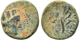 PHOENICIA. Arados, 2nd-1st century BC. Ae (bronze, 1.78 g, 12 mm). Turreted head of Tyche right, palm branch behind. Rev. Aphlaston, Phoenician letter...