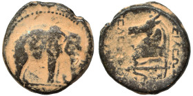 SELEUKID KINGS. Seleukos I Nikator, 312-281 BC. Ae (bronze, 6.55 g, 19 mm), Apamea. Elephant standing right. Rev. BAΣΙΛΕΩΣ ΣΕΛΕΥΚΟΥ Head of horse left...