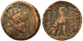 SELEUKID KINGS. Antiochos IV Epiphanes, 175-164 BC. 'Egyptianizing' series. Ae (bronze, 8.90 g, 21 mm), Antioch on the Orontes. Diademed and radiate h...