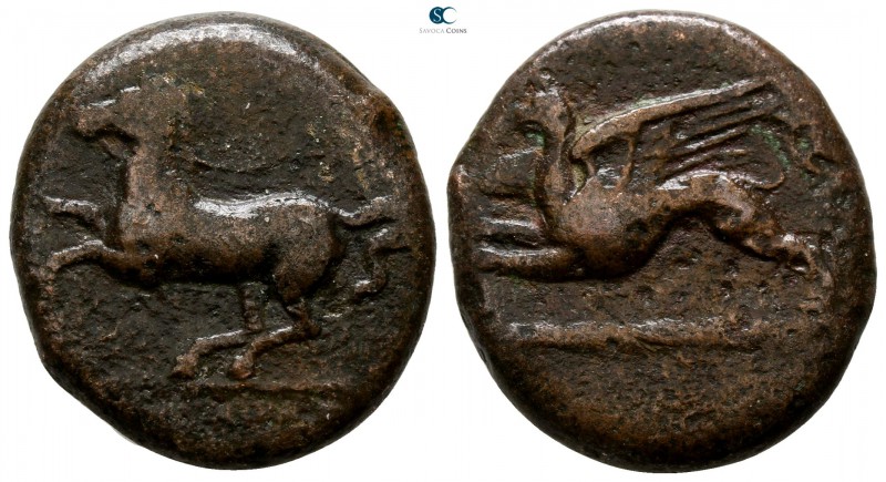 Sicily. Kainon 340-330 BC. 
Bronze Æ

22 mm., 9.48 g.



very fine