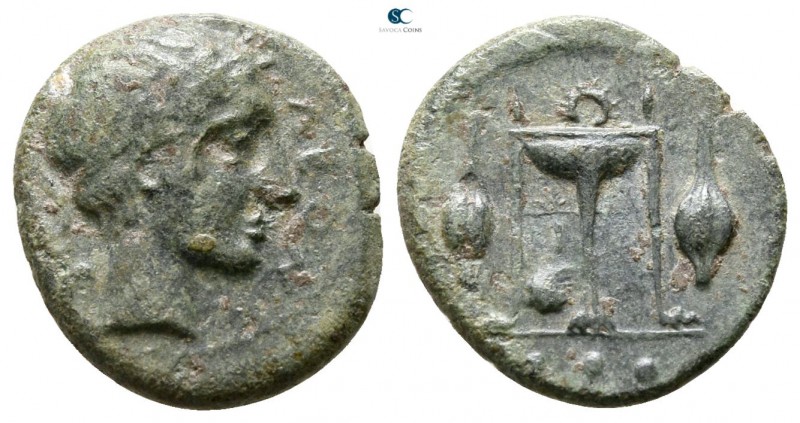 Sicily. Leontinoi circa 405-402 BC. 
Tetras Æ

13 mm., 1.38 g.



very fi...