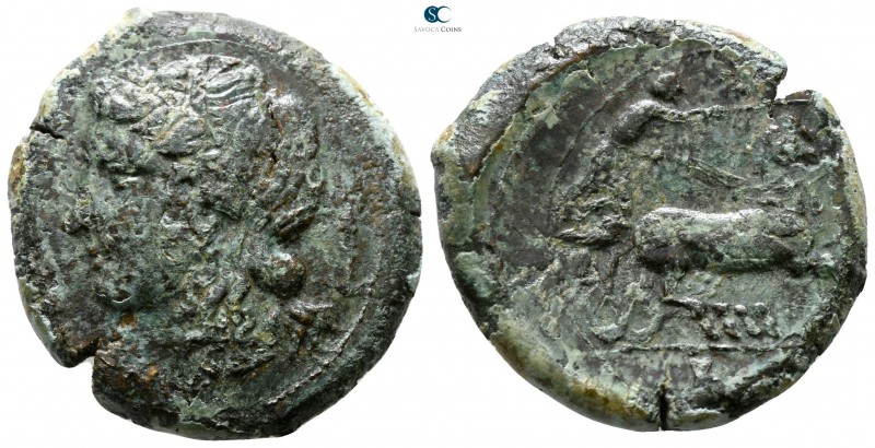 Sicily. Syracuse. Hiketas II 287-278 BC. 
Bronze Æ

27 mm., 14.58 g.



n...