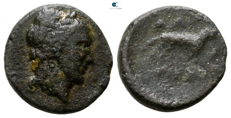 Thrace. Alopekonnesos 400-350 BC. 
Bronze Æ

12 mm., 1.67 g.



fine