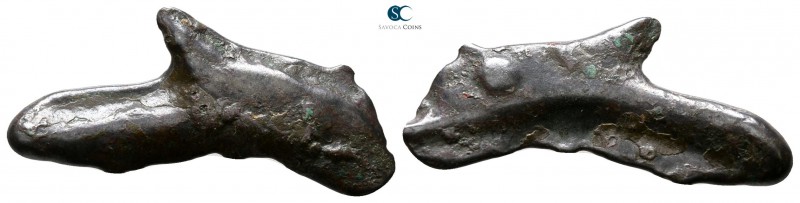 Scythia. Olbia 437-410 BC. 
Cast dolphin Æ

25 mm., 1.74 g.



very fine