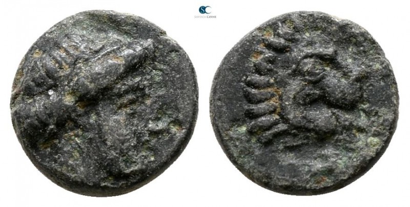 Troas. Antandros 350-250 BC. 
Bronze Æ

8 mm., 0.67 g.



very fine