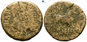 Tarraconensis. Calagurris. Tiberius AD 14-37. Bronze Æ