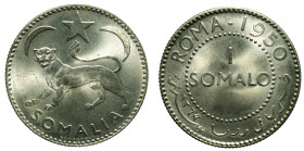 SOMALILAND - Italian Administration

Trust Territory of Somaliland (1950 - 1960)

1 somalo

OBVERSE : SOMALIA / Leopard in the center. Above sta...