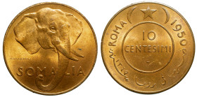 SOMALILAND - Italian Administration

Trust Territory of Somaliland (1950 - 1960)

10 centesimi

OBVERSE : SOMALIA / Elephant head
REVERSE : ROM...