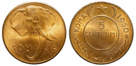 SOMALILAND - Italian Administration

Trust Territory of Somaliland (1950 - 1960)

5 centesimi

OBVERSE : SOMALIA / Elephant head
REVERSE : ROMA...