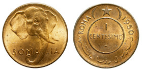 SOMALILAND - Italian Administration

Trust Territory of Somaliland (1950 - 1960)

1 centesimo

OBVERSE : SOMALIA / Elephant head
REVERSE : ROMA...