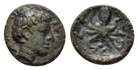 SICILY. Syracuse. Second Democracy.(Circa 466-405 BC).Ae.

Obv : ΣΥΡΑ.
Female head right; two dolphins around.

Rev : Octopus; three pellets around.
B...