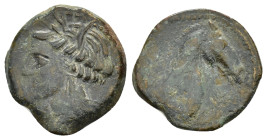 CARTHAGE.(Circa 300-264 BC).Sardinia.Ae.

Obv : Wreathed head of Tanit left.

Rev : Head of horse right.
Piras 1; SNG Copenhagen 149-150.

Condition :...