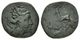 CIMMERIAN BOSPOROS.Pantikapaion.(Circa 340-325 BC).Ae.

Obv : Bearded head of satyr right.

Rev : Π Α Ν.
Forepart of griffin left; below, fish left.
M...