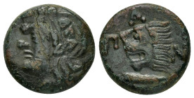 CIMMERIAN BOSPOROS. Pantikapaion.(Circa 310-303 BC).Ae.

Obv : Wreathed head of Pan left.

Rev : ΠAN.
Lion's head left; sturgeon left.
MacDonald 70.

...