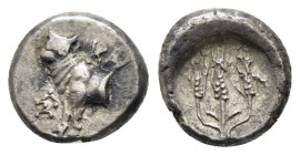 BITHYNIA. Kalchedon.(Circa 367/6-340 BC). Hemidrachm.

Obv : KAΛ.
Forepart of bull left on grain ear; monogram to left.

Rev : Three grain ears.
SNG B...