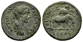 TROAS. Alexandria. Caracalla (198-217). Ae.

Obv : ANTONINVS PIVS AVGV.
Laureate, draped and cuirassed bust right, seen from rear.

Rev : COL AVG TROA...