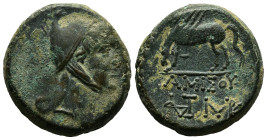 PONTOS. Time of Mithradates VI Eupator.(85-65 BC).Amisos.Ae.
Obv : Head of Perseus right, wearing Persian tiara.
Rev : ΑΜΙΣΟΥ.
Pegasos grazing left on...