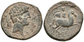 ARCEDURGI. As. 120-80 a.C. La Seu de Urgell. A/ Cabeza masculina a derecha entre jabalí y dos delfines. R/ Jinete con palma y clámide a derecha, debaj...