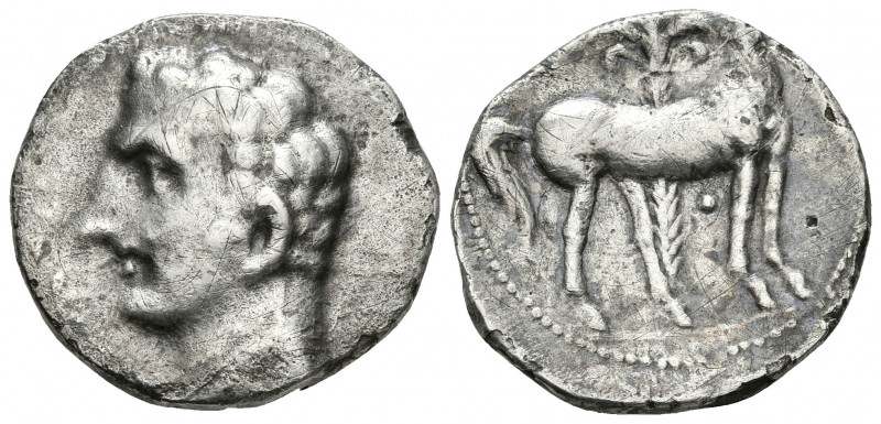 CARTAGONOVA. Shekel. 220-205 a.C. Cartagena (Murcia). A/ Busto masculino a izqui...