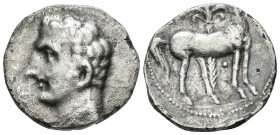 CARTAGONOVA. Shekel. 220-205 a.C. Cartagena (Murcia). A/ Busto masculino a izquierda. R/ Caballo parado a derecha, detrás palmera, punto entre las pat...