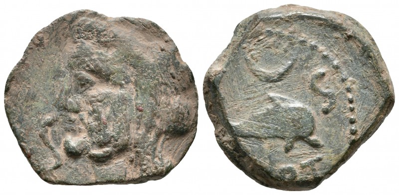 CARTEIA. Semis. 80-20 a.C. San Roque (Cadiz). A/ Cabeza de Júpiter a izquierda, ...