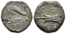 CARTEIA. Semis. Epoca de Augusto. 27 a.C.-14 d.C. San Roque (Cádiz). A/ Delfín a izquierda, debajo tridente, abajo CARTEIA. R/ Timón, encima IIII VIR,...