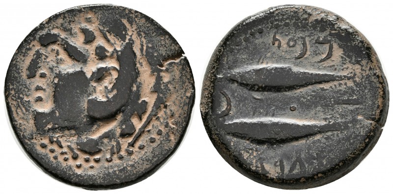 GADES. As. 100-20 a.C. Cádiz. A/ Cabeza de Hércules-Melkart con piel de león a i...