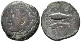 GADES. As. 100-20 a.C. Cádiz. A/ Cabeza de Hércules-Melkart con piel de león a izquierda detrás clava. R/ Dos atunes a izquierda, arriba y abajo leyen...