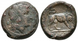 ACUÑACIONES ANONIMAS. Doble Litra. 260 a.C. Ceca incierta en el sureste de Italia. A/ Cabeza de mujer a derecha con cabello atado con cinta. R/ León a...