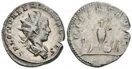 SALONINO. Antoniniano. 256 d.C. Colonia Agrippinensis. A/ Busto radiado y drapeado a derecha. SALON VALERIANVS CAES. R/ Instrumentos sacerdotales Litu...