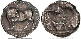 LUCANIA. Sybaris. Ca. 550-510 BC. AR stater (29mm, 7.41 gm, 12h). NGC (photo certificate) Choice VF 4/5 - 2/5, edge chip. Bull standing left, head rev...