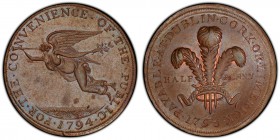 Dublin, H.S. & Co. copper 1/2 Penny Token 1795 MS63 Brown PCGS, D&H-328. Edge: Plain. FOR • THE • CONVENIENCE • OF • THE • PUBLIC • 1794 •. Fame flyin...