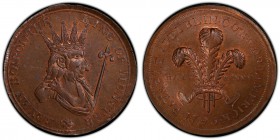 Dublin, H.S. & Co. copper 1/2 Penny Token 1795 MS64 Brown PCGS, D&H-331. Edge: Plain. BRYEN BOIROIMHE - KING OF MUNSTER (flower). Crowned bust of Brye...