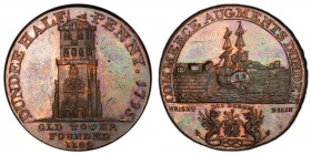 Angusshire, Dundee copper 1/2 Penny Token 1795 MS64 Brown PCGS, D&H-10, Conder p.11, 4, Atkins p.295, 7. Edge: PAYABLE AT THE WAREHOUSE OF ALEXR. MOLI...