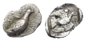 Sikyonien. Sikyon.

 Hemiobol (Silber). Ca. 450 - 425 v. Chr.
Vs: Taube nach rechts stehend.
Rs: Taube nach rechts fliegend in vertieftem Quadrat....