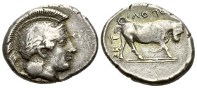 Campania , Neapolis Didrachm circa 420-400 - Ex J. Elsen sale 145, 2020, 1. Privately purchased from Münzandlung Basilea in 1950 and sold with origina...