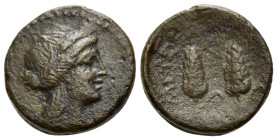 Lucania, Metapontum Bronze circa 225-200 - From the Morcom collection.