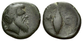 Lucania, Metapontum Bronze circa 225-200 - From the Morcom collection.